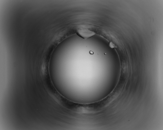 X0000094910408200712061053