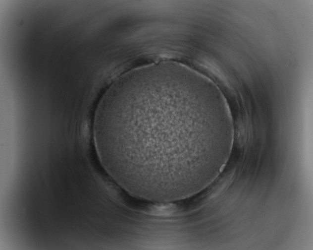 X0000094910410200712061053