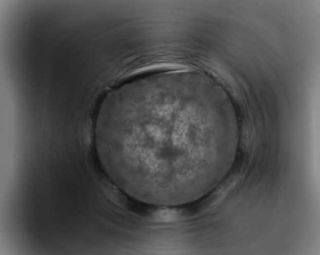 X0000094910413200712061053