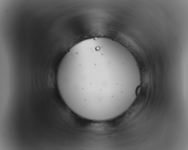 X0000094910414200712061053