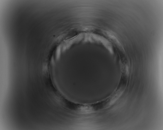 X0000094910415200712061052