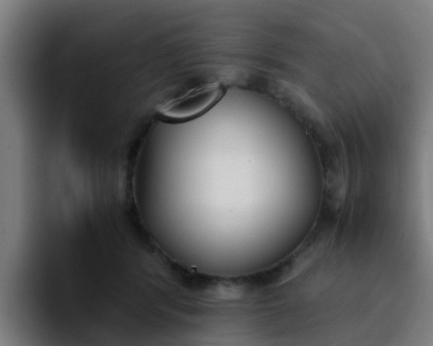 X0000094910416200712061052
