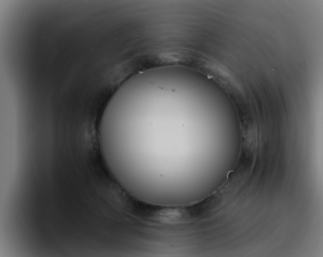 X0000094910418200712061052