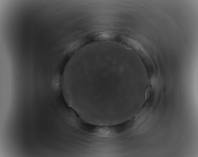 X0000094910423200712061052