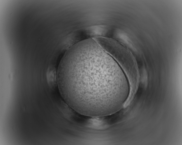 X0000094910425200712061052