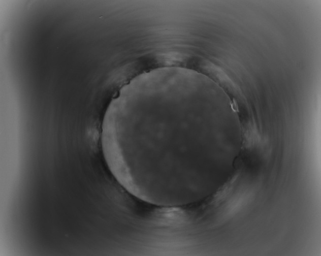 X0000094910427200712061052