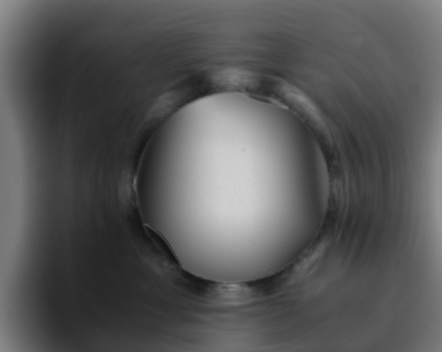 X0000094910429200712061052