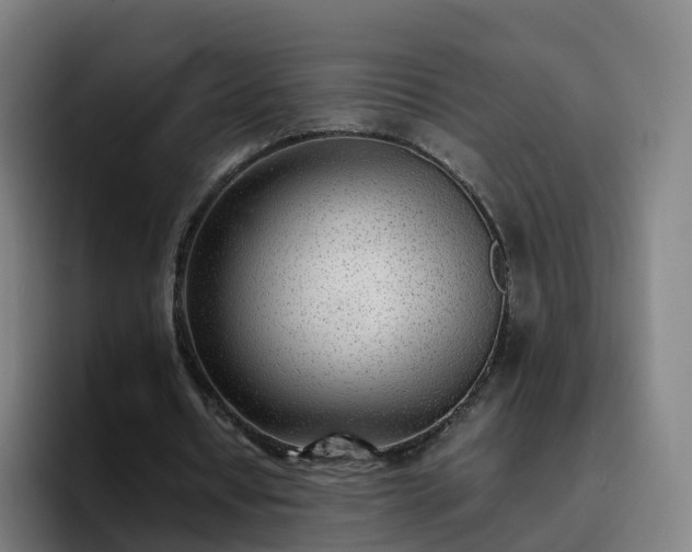 X0000094910434200712061052