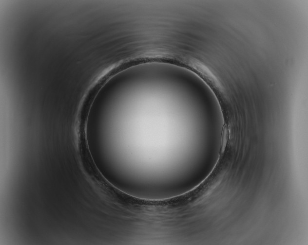 X0000094910436200712061052
