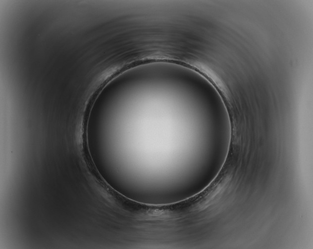 X0000094910437200712061052
