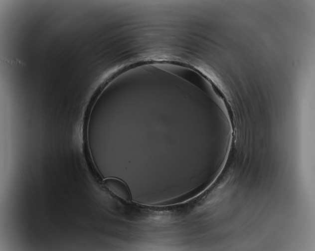 X0000094910438200712061052