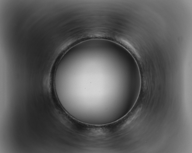 X0000094910439200712061052