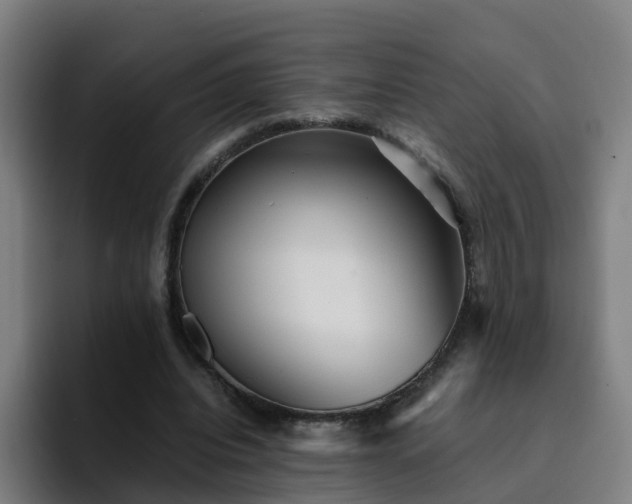 X0000094910440200712061052