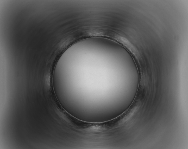 X0000094910441200712061052