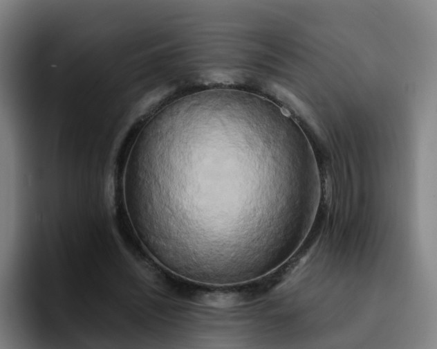 X0000094910444200712061052