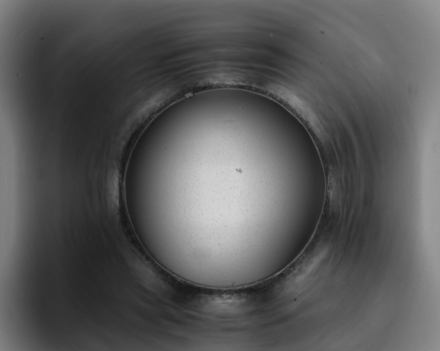 X0000094910445200712061052