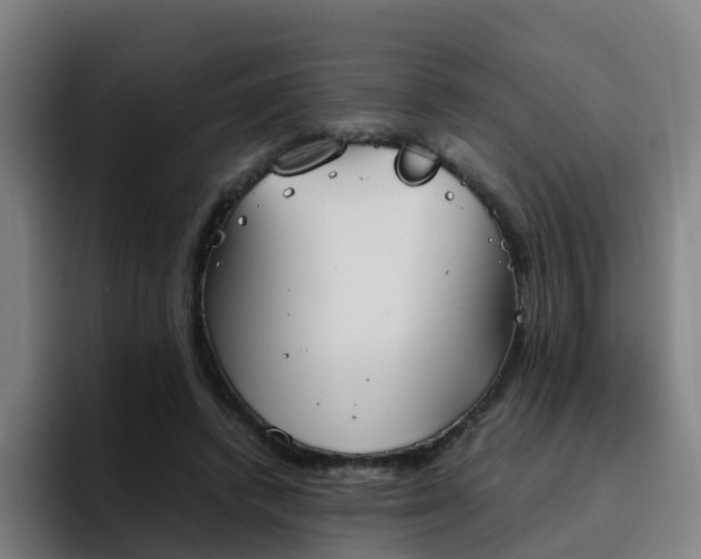 X0000094910448200712061052