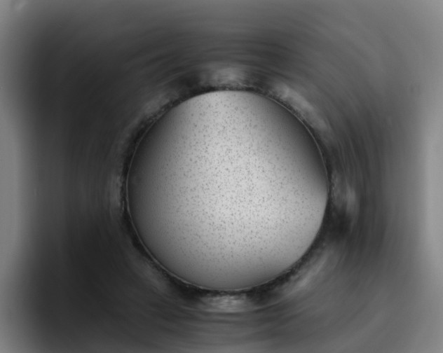 X0000094910449200712061052