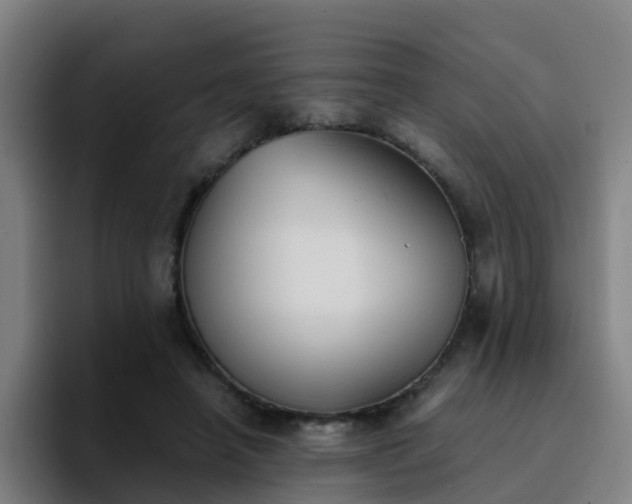 X0000094910450200712061052