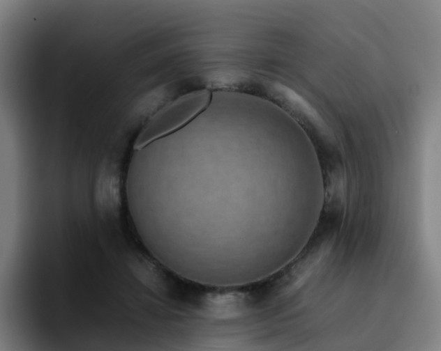 X0000094910452200712061052