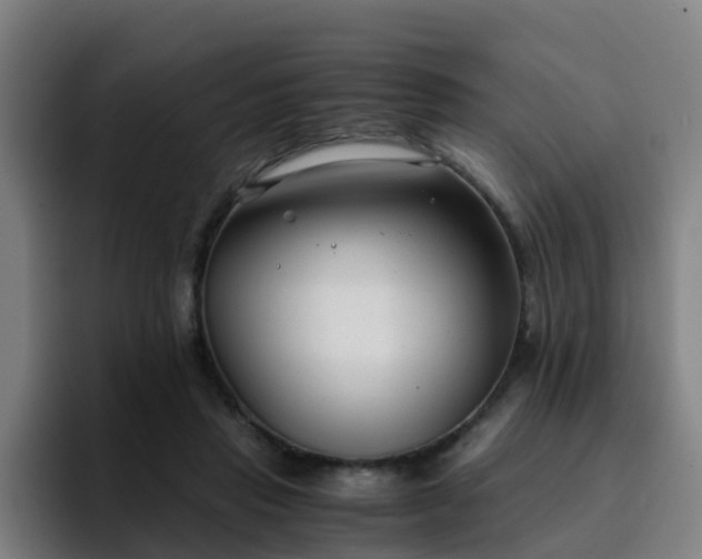 X0000094910453200712061052