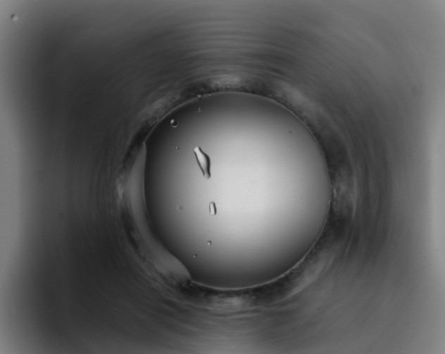 X0000094910454200712061052