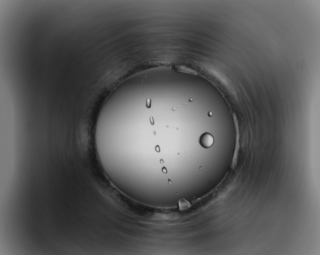 X0000094910455200712061052