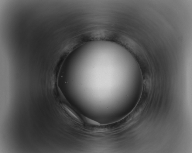 X0000094910458200712061052