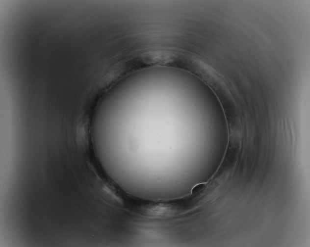 X0000094910460200712061052