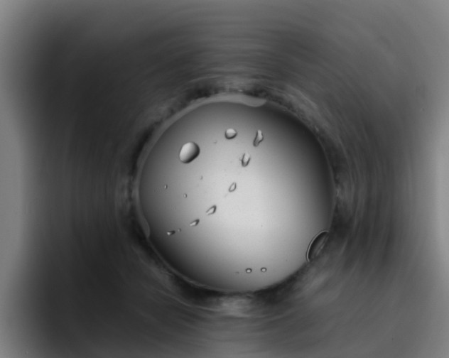 X0000094910462200712061052