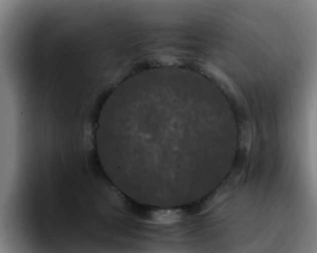 X0000094910465200712061052