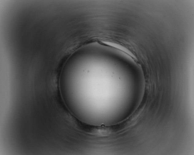 X0000094910466200712061052