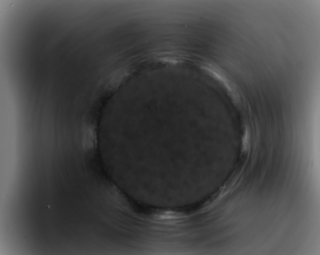 X0000094910467200712061052
