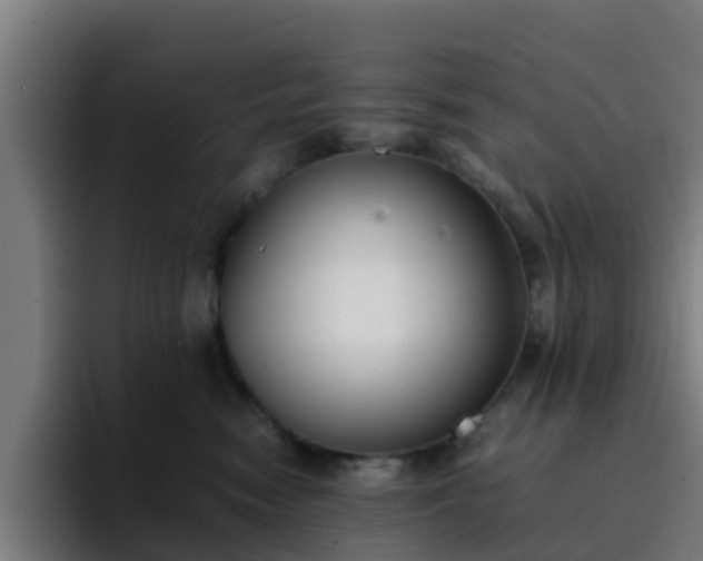 X0000094910474200712061052