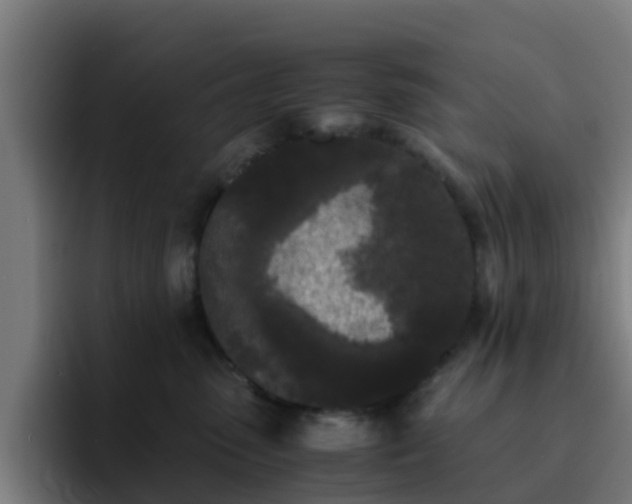 X0000094910475200712061052