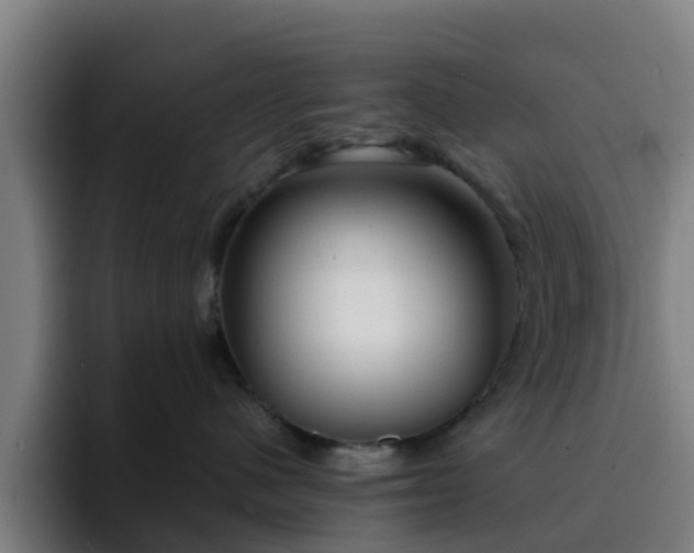 X0000094910480200712061052