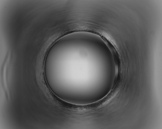 X0000094910481200712061052
