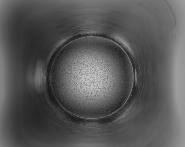 X0000094910483200712061052