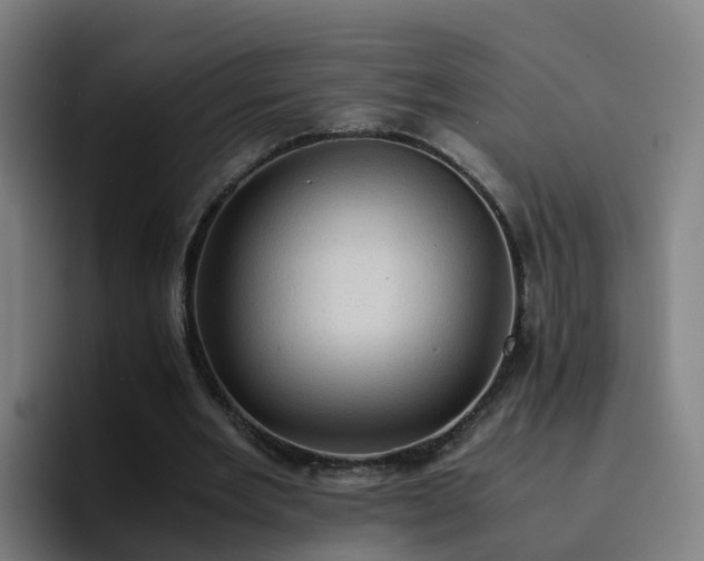 X0000094910485200712061052