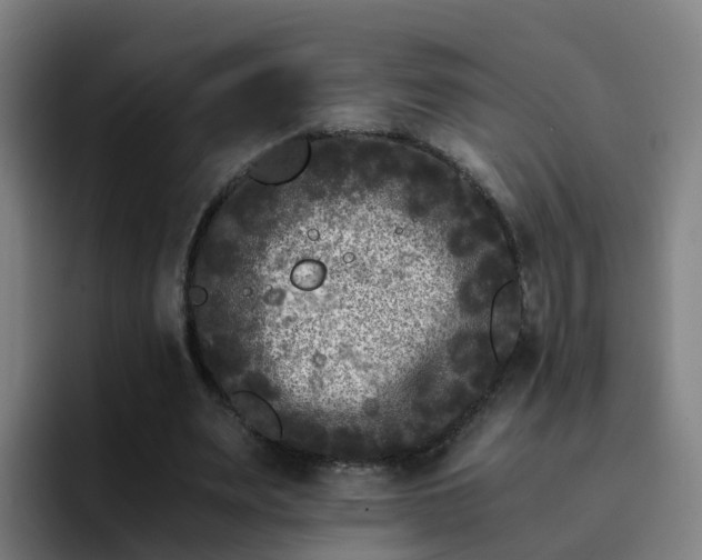X0000094910487200712061052