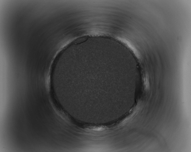 X0000094910488200712061052