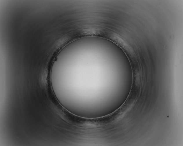 X0000094910490200712061052
