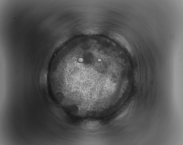 X0000094910491200712061052