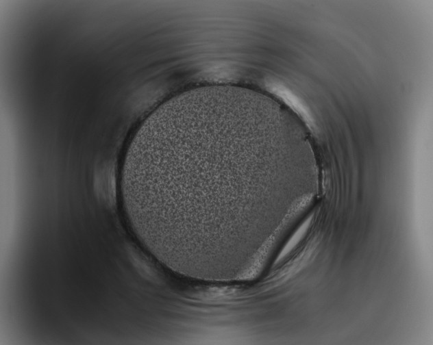 X0000094910493200712061051