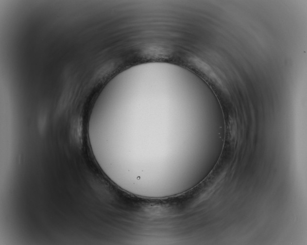 X0000094910494200712061051