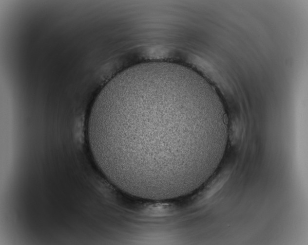 X0000094910497200712061051
