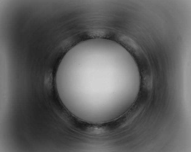 X0000094910498200712061051