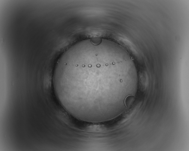 X0000094910499200712061051