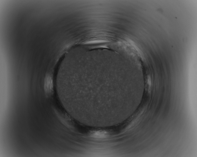 X0000094910500200712061051