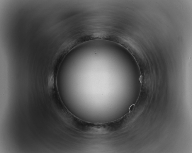 X0000094910502200712061051